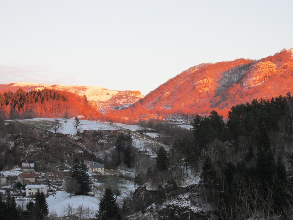 Domaine De La Jordanne - B&B Saint-Cirgues-de-Jordanne Buitenkant foto