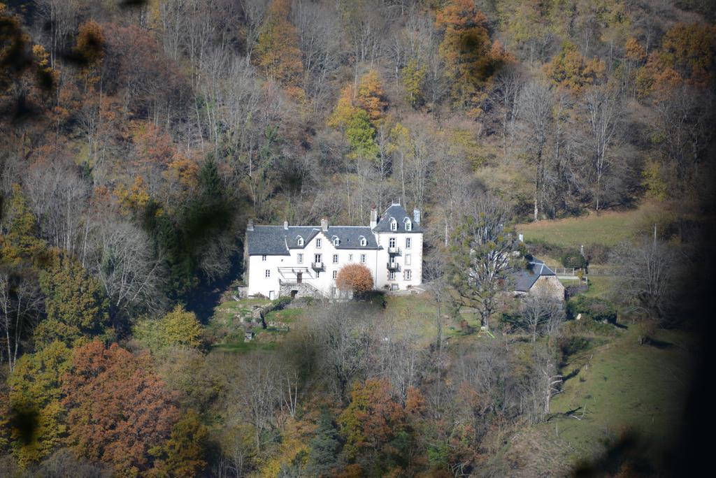 Domaine De La Jordanne - B&B Saint-Cirgues-de-Jordanne Buitenkant foto