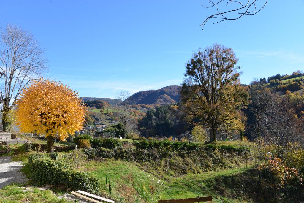 Domaine De La Jordanne - B&B Saint-Cirgues-de-Jordanne Buitenkant foto