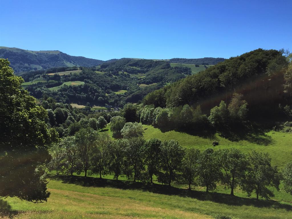 Domaine De La Jordanne - B&B Saint-Cirgues-de-Jordanne Buitenkant foto