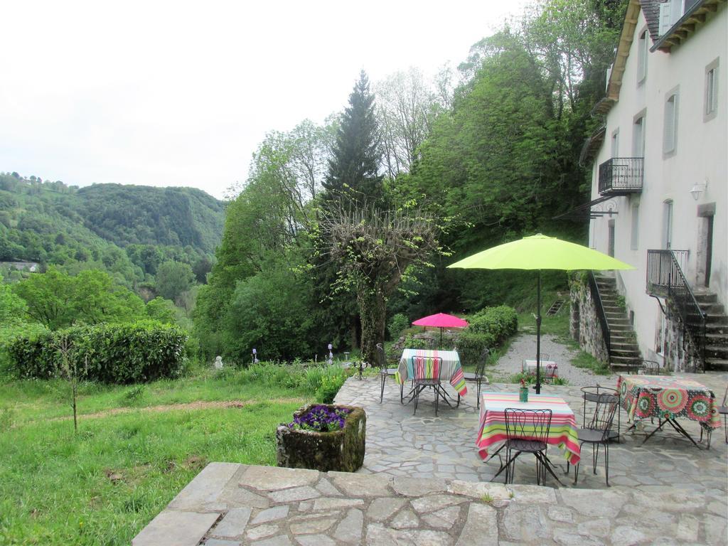 Domaine De La Jordanne - B&B Saint-Cirgues-de-Jordanne Buitenkant foto