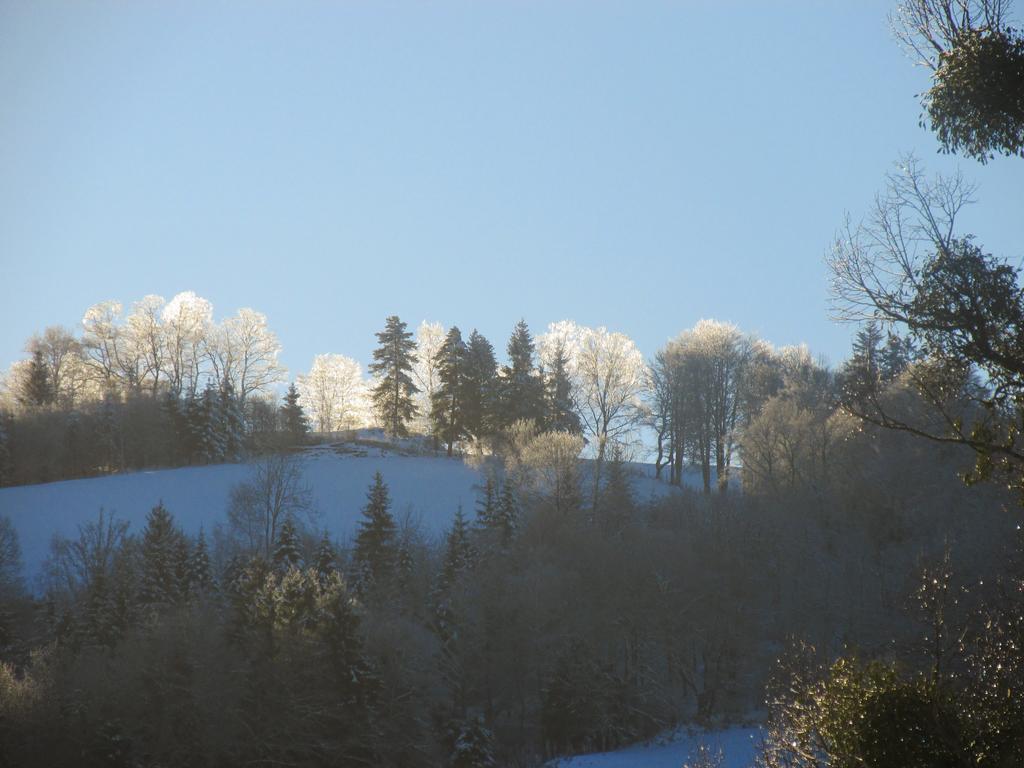 Domaine De La Jordanne - B&B Saint-Cirgues-de-Jordanne Buitenkant foto