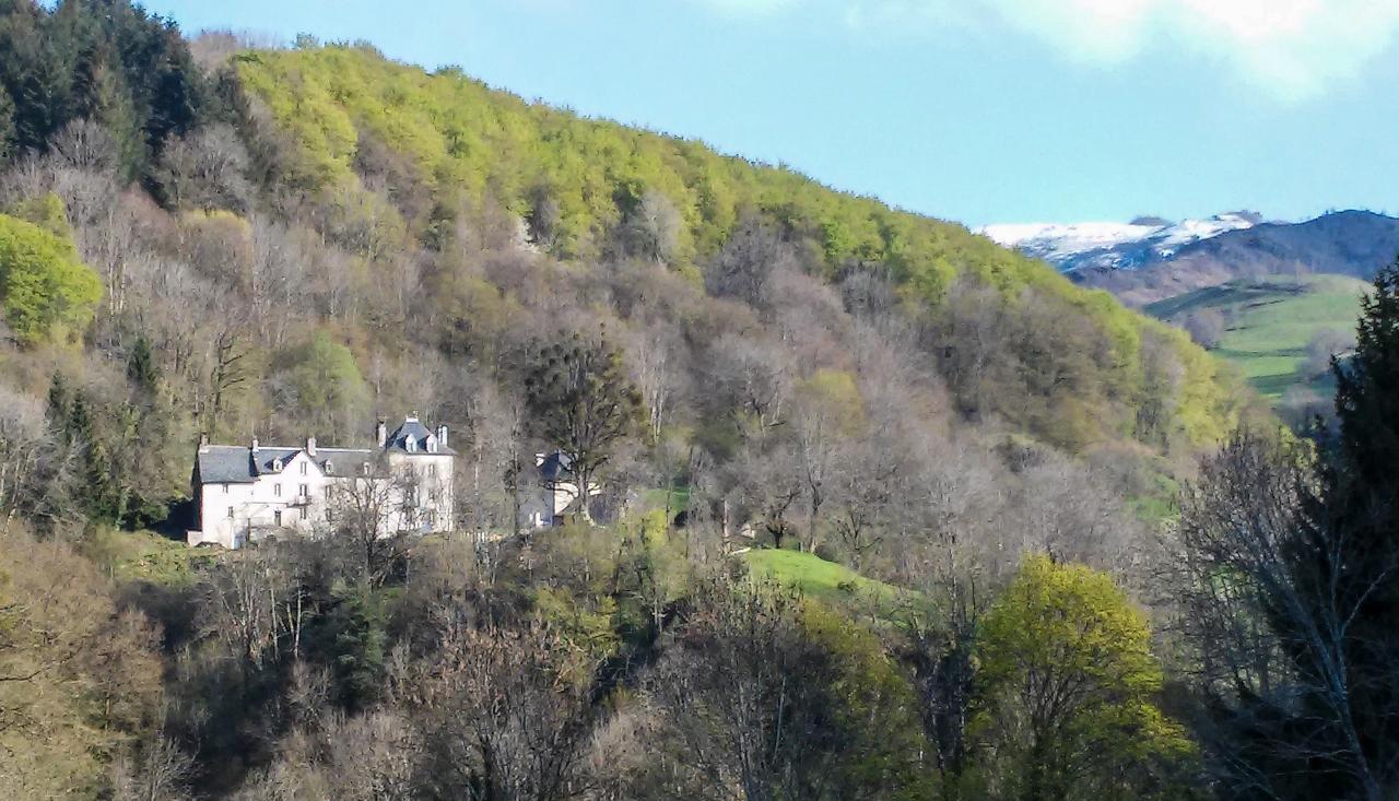 Domaine De La Jordanne - B&B Saint-Cirgues-de-Jordanne Buitenkant foto